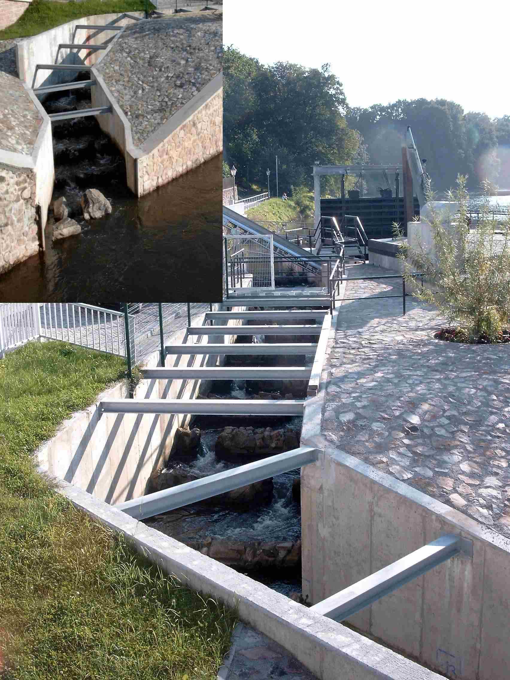 Fischaufstiegsanlage_P